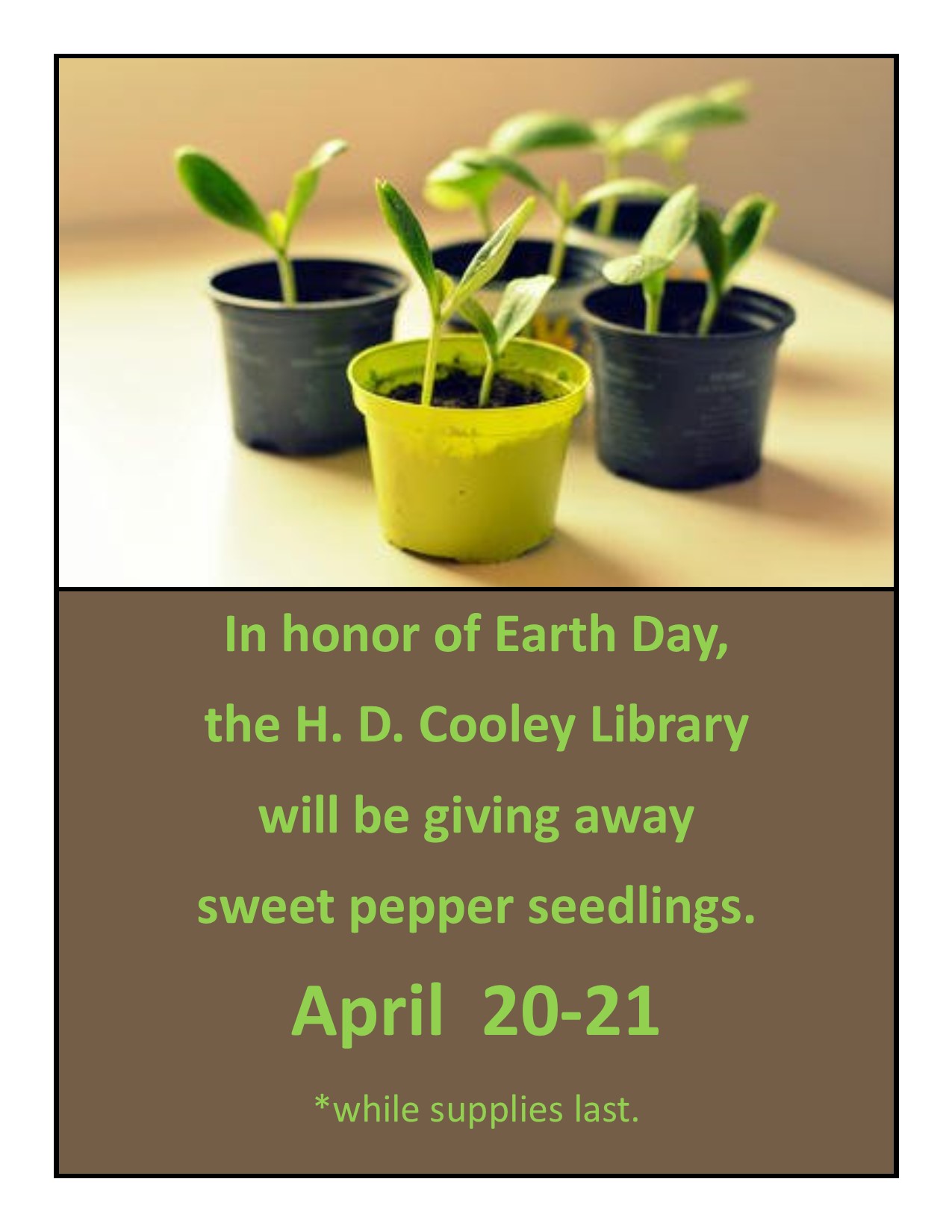 Earth Day seedlings