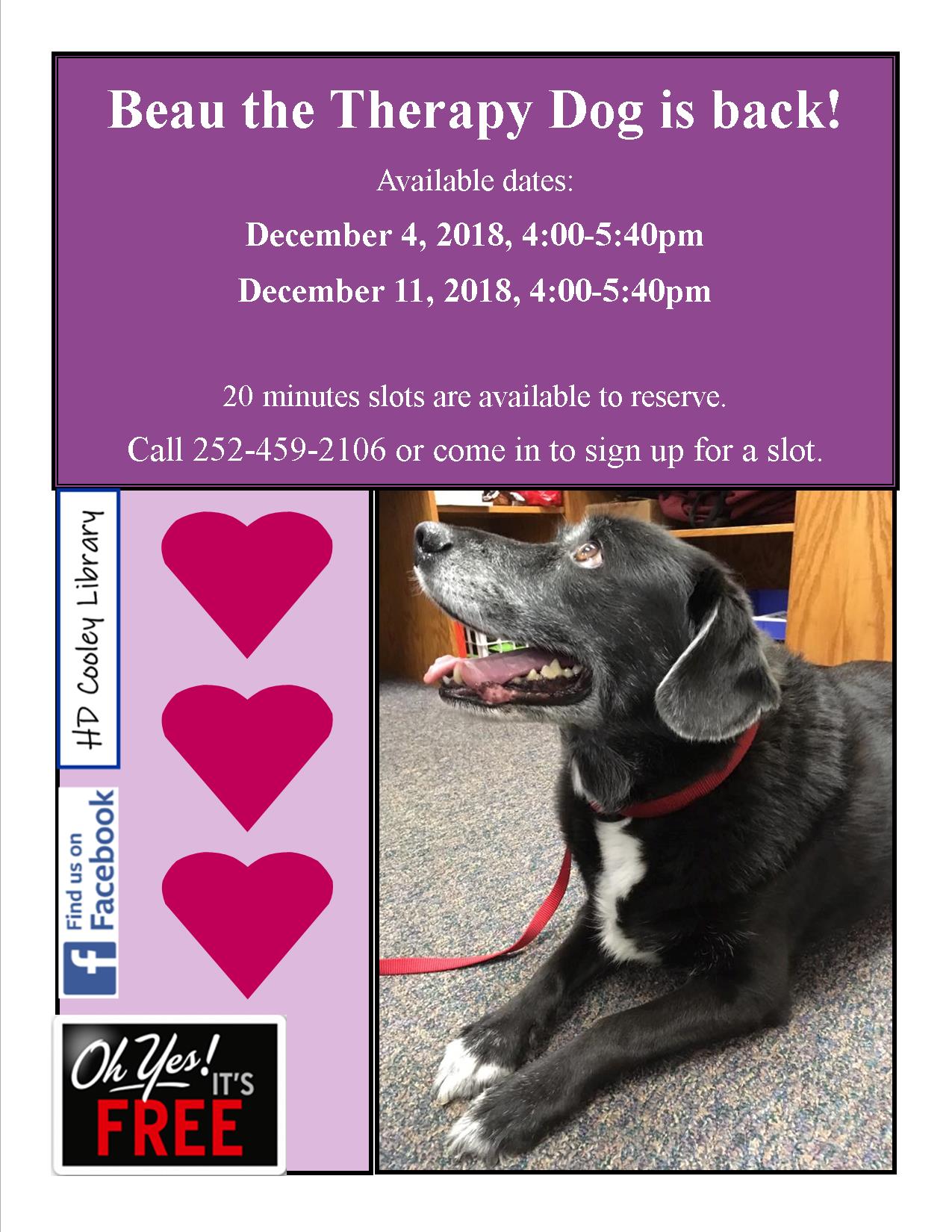 Therapy Dog flyer