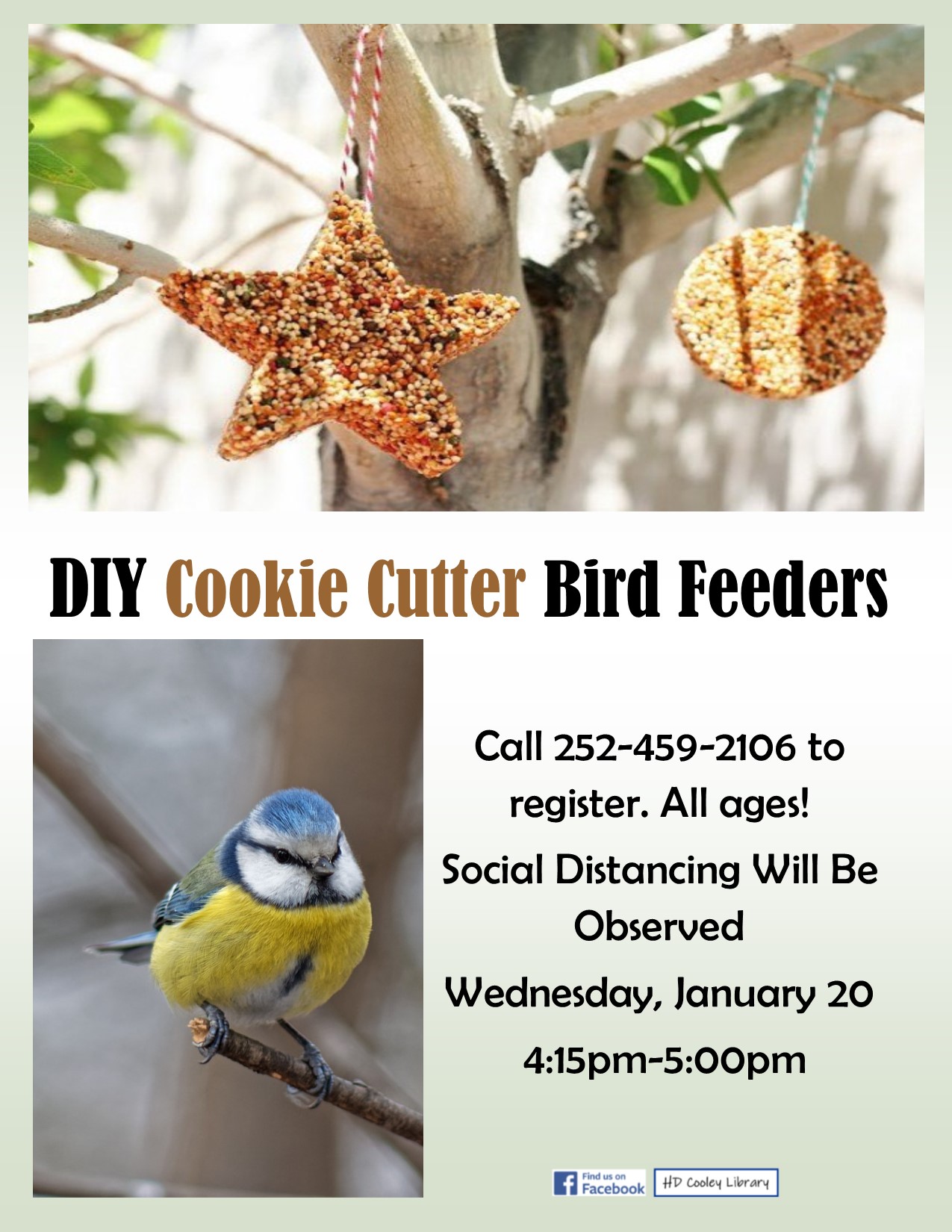 Cookie Cutter Birdfeeder Date and Time