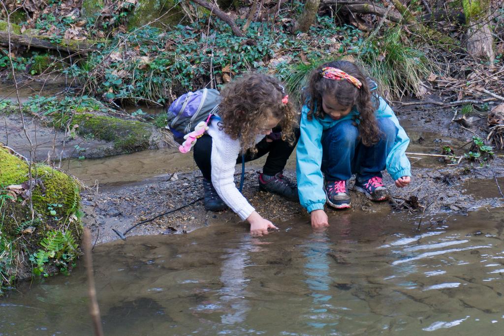 2016-01-02_upper-hickory-nut-gorge_lower-bearwallow-trail-kids-playing-creek