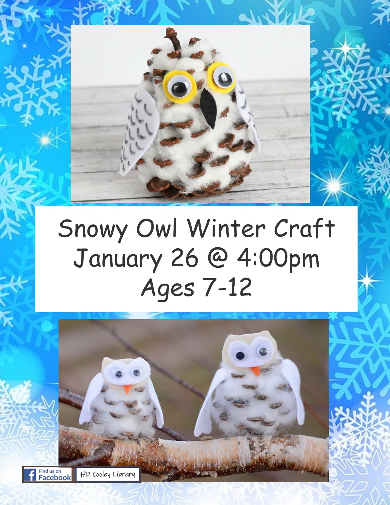 Snow Owl Craft Date and Time