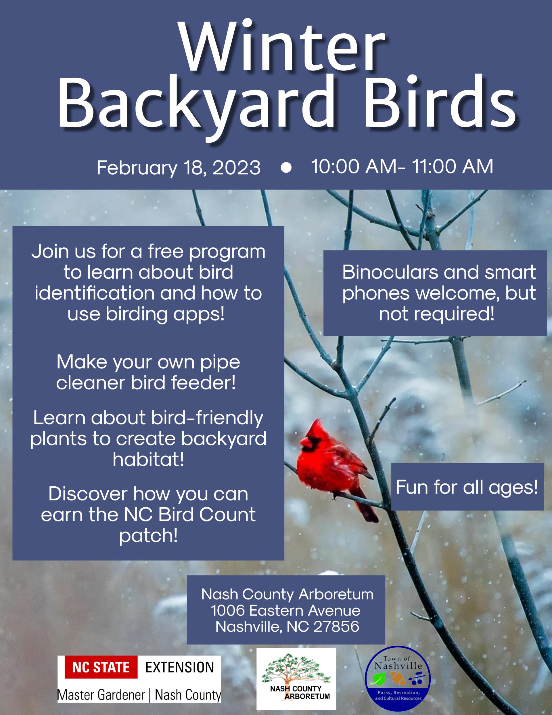 Birding Festival Bird Watching Flyer (1)